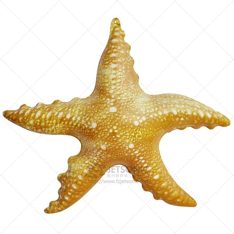 Inflatable Starfish